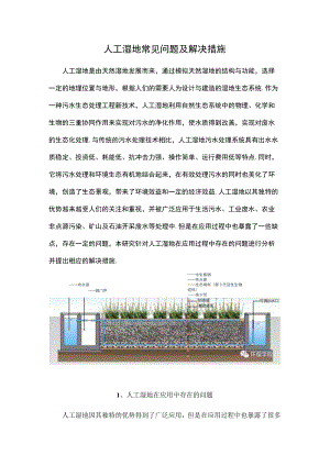 人工湿地常见问题及解决措施.docx