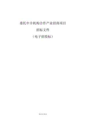 委托中介机构合作产业招商项目招标文件.docx