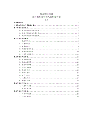 综合物业项目项目组织架构和人员配备方案.docx