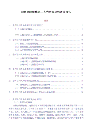 山西金晖煤焦化工人力资源规划咨询报告.docx