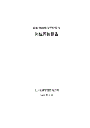 山东金瀚岗位评价报告.docx