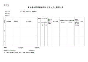重大安全隐患排查整治情况.docx