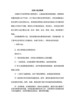 应急小组及职责.docx