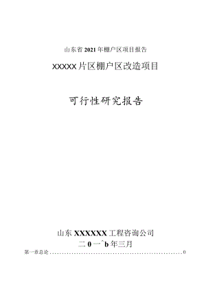 山东省2021年棚户区项目报告.docx