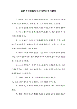 自然资源和规划系统信息化工作职责.docx