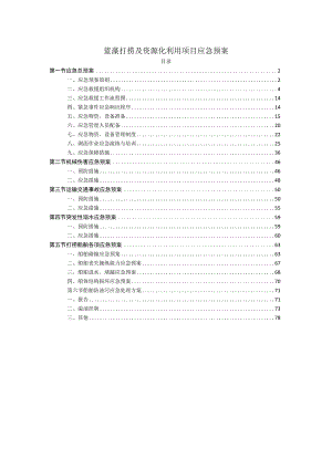 蓝藻打捞及资源化利用项目应急预案.docx
