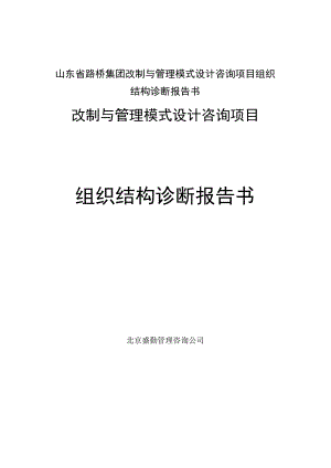 山东省路桥集团改制与管理模式设计咨询项目组织结构诊断报告书.docx