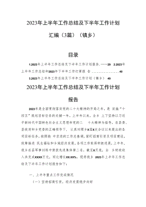 2023年上半年工作总结及下半年工作计划汇编（3篇）（镇乡）.docx