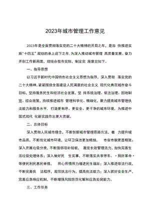 2023年城市管理工作意见.docx