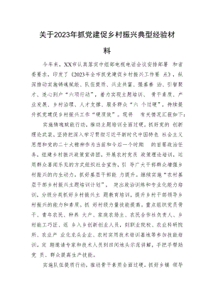 关于2023年抓党建促乡村振兴典型经验材料.docx