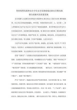 坚持统筹发展和安全守住安全发展底线以新安全格局保障全面振兴高质量发展.docx