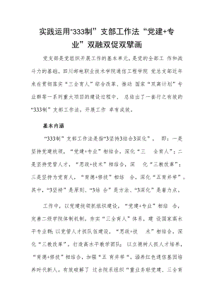 实践运用“333制”支部工作法 “党建+专业”双融双促双擘画.docx
