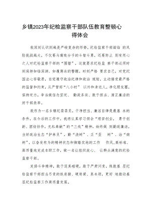 乡镇2023年纪检监察干部队伍教育整顿心得体会精选(八篇)例文.docx