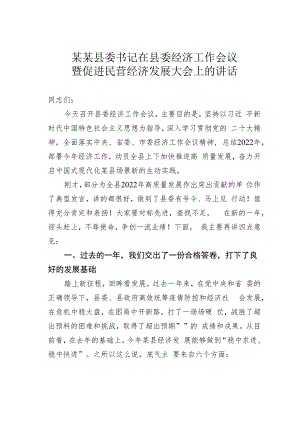 某某县委书记在县委经济工作会议暨促进民营经济发展大会上的讲话.docx
