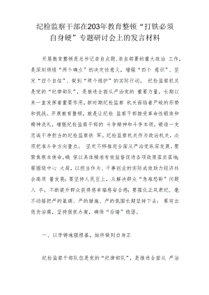 纪检监察干部在203年教育整顿“打铁必须自身硬”专题研讨会上的发言材料.docx
