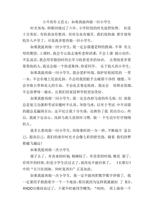 小升初作文范文：如果我能再做一回小学生.docx