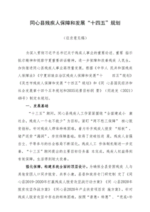 同心县残疾人保障和发展“十四五”规划.docx