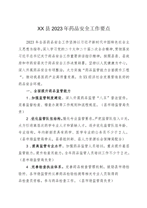 XX县2023年药品安全工作要点.docx