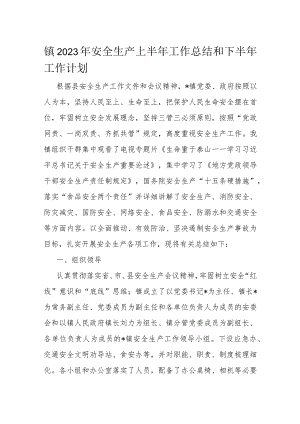 镇2023年安全生产上半年工作总结和下半年工作计划.docx