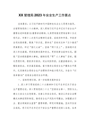 XX管理局2023年安全生产工作要点.docx