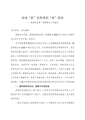 新联会理事会工作报告.docx