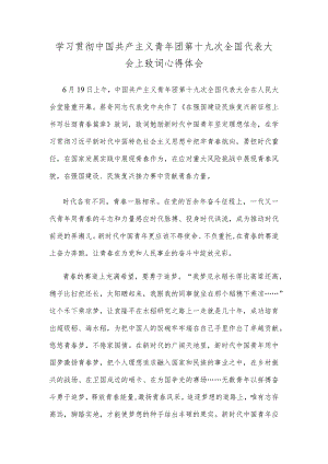 学习贯彻中国共产主义青年团第十九次全国代表大会上致词心得体会.docx