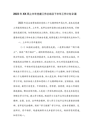 2023年XX局上半年党建工作总结及下半年工作计划2篇.docx