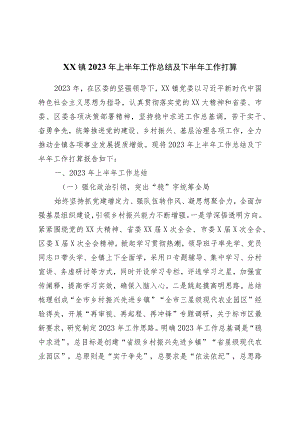镇2023年上半年工作总结及下半年工作打算.docx
