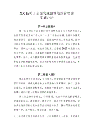 XX县关于全面实施预算绩效管理的实施办法.docx