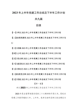 （9篇）2023年上半年党建工作总结及下半年工作计划.docx
