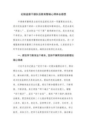 纪检监察干部队伍教育整顿心得体会及研讨发言范文3篇.docx