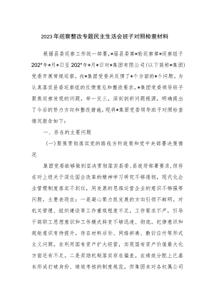 2023年集团公司领导班子巡察整改专题民主生活会对照检视剖析检查材料.docx