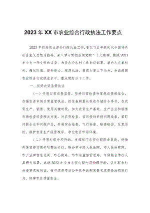 2023年XX市农业综合行政执法工作要点.docx