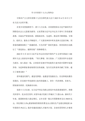 学习共青团第十九次全国代表大会心得体会 一.docx