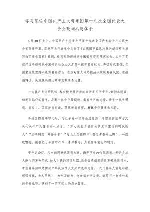学习领悟中国共产主义青年团第十九次全国代表大会上致词心得体会.docx