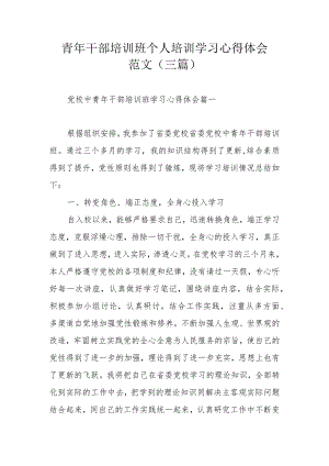 青年干部培训班个人培训学习心得体会范文（三篇）.docx