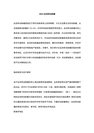 2023血泡样动脉瘤.docx
