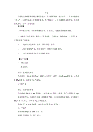 中医外科丹毒诊疗规范诊疗指南2023版.docx