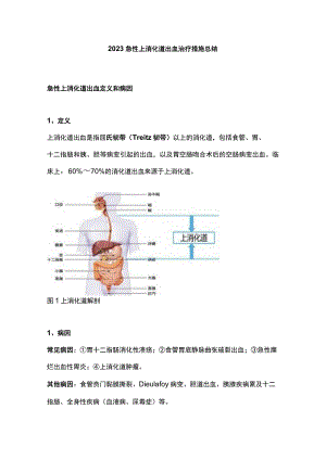 2023急性上消化道出血治疗措施总结.docx