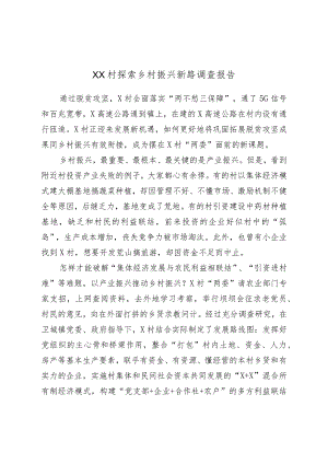 XX村探索乡村振兴新路调查报告.docx