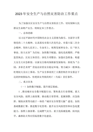 2023年安全生产与自然灾害防治工作要点.docx
