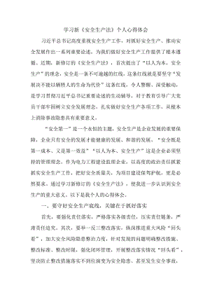 国企安全监督员学习新安全生产法个人心得体会 汇编7份.docx