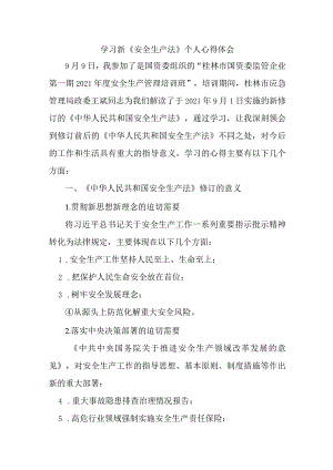 国企安全监督员学习新安全生产法个人心得体会.docx