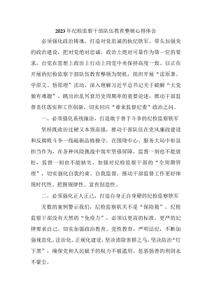 乡镇街道社区2023年纪检监察干部队伍教育整顿个人心得体会.docx
