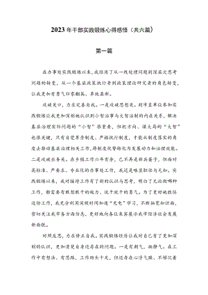 2023年干部实践锻炼心得感悟（共六篇）.docx