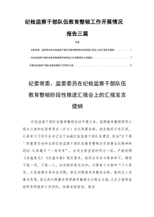 纪检监察干部队伍教育整顿工作开展情况报告三篇.docx