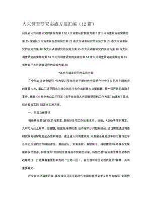 大兴调查研究实施方案汇编（12篇）.docx