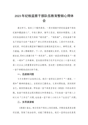 2023年纪检监察干部队伍教育整顿心得体会范文三篇模板.docx