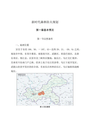 新时代森林防火规划.docx