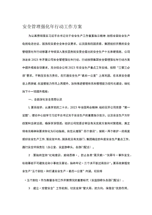 安全管理强化年行动工作方案.docx
